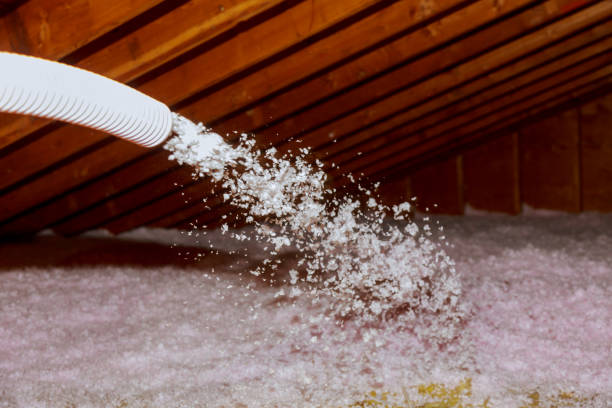 Best Types of Insulation in Fort Pierce North, FL